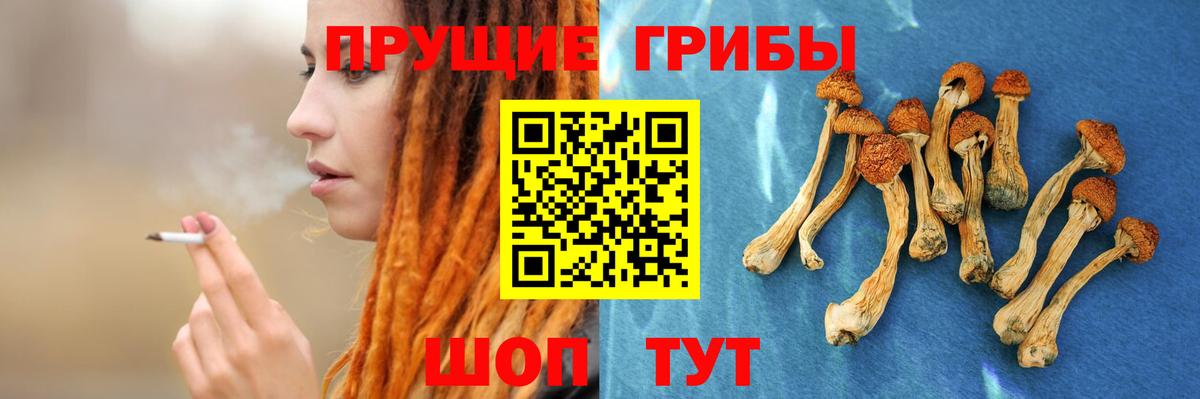 Псилоцибиновые грибы мицелий  Вход с VPN  Кинешма  Псилоцибиновые грибы ЛСД 